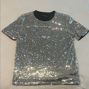 Sparkling Silver Sequin Top